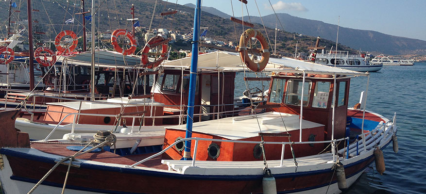 Local Film Crew & Technicians